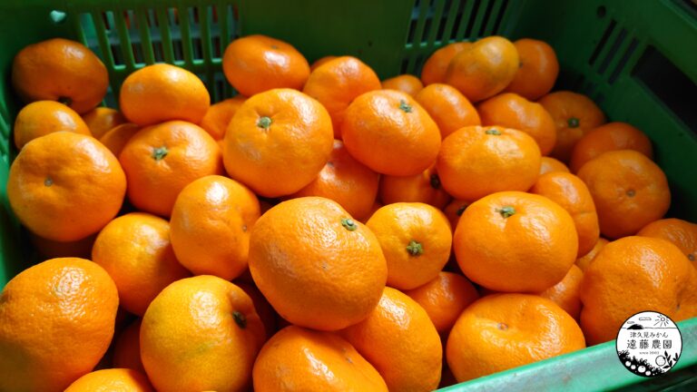 みかん│津久見みかん遠藤農園