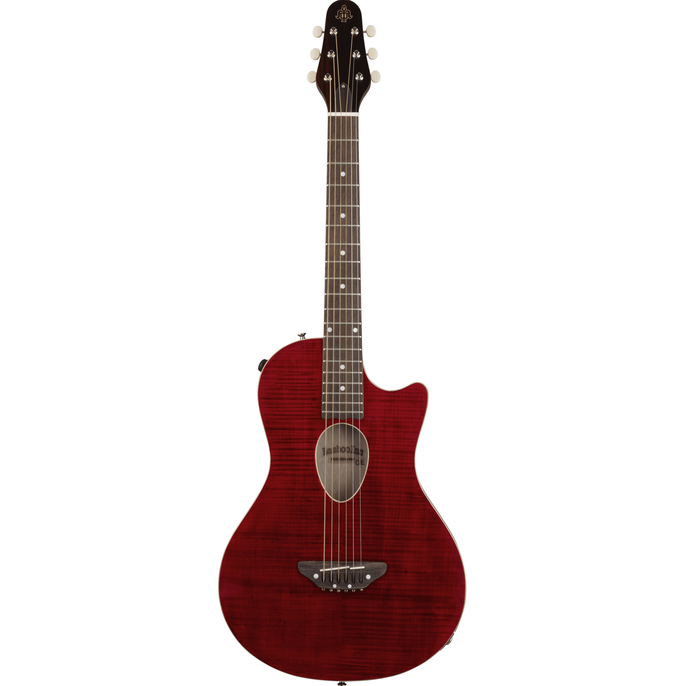 BambooInnCharプロデュース ニューコンセプトギター～すべての音楽人の