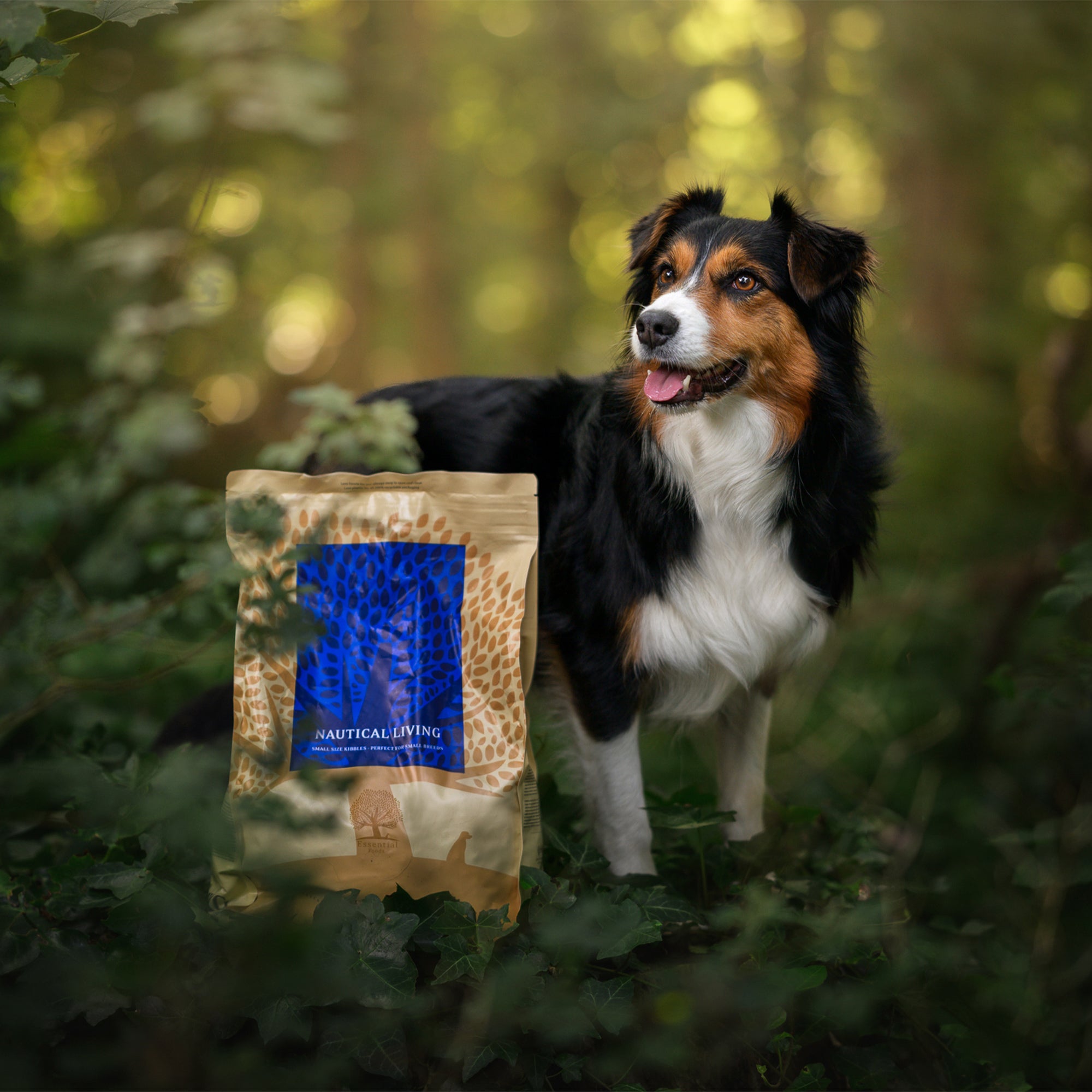 ESSENTIAL FOODS NAUTICAL LIVING – Grain‑Free Fish Dog Food