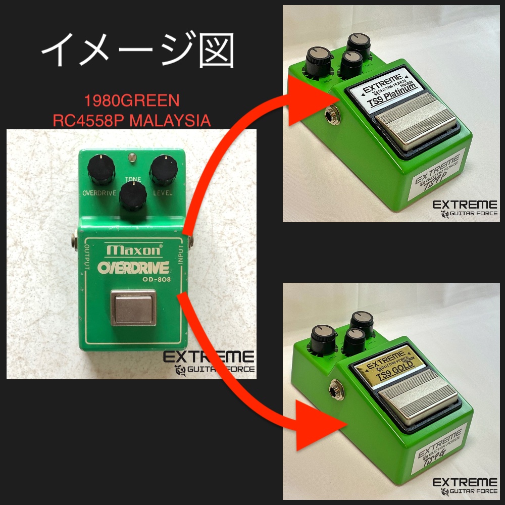 TS9 Platinum」「TS9 GOLD」 | EXTREME GUITAR FORCE – ギターショップ