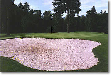 書 Katayanazu Golf Club 90 holes 90 Holes for - Shanty Creek