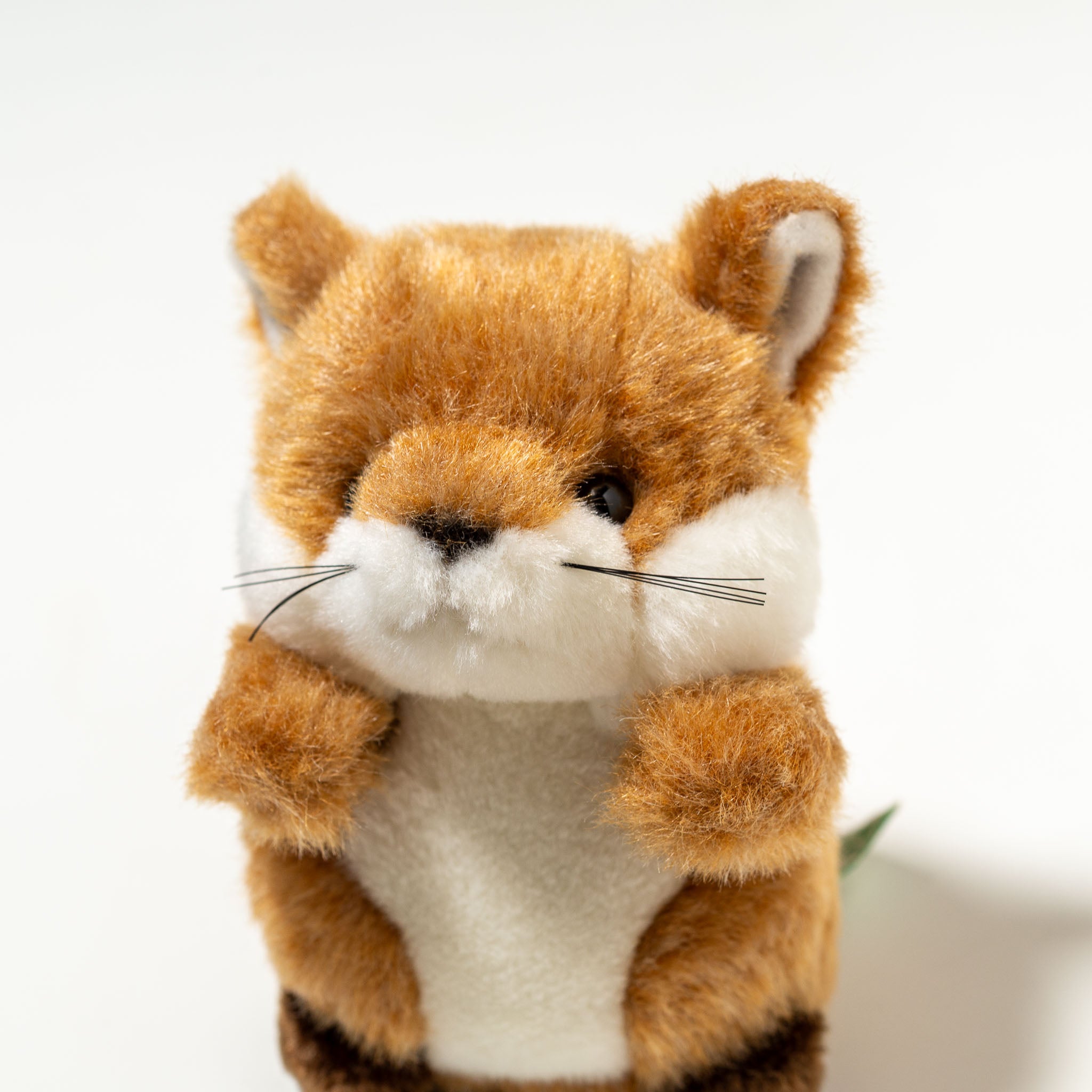 たけのこ TAKENOKO ぬいぐるみ 森のなかま (ミニ) キツネ 85207