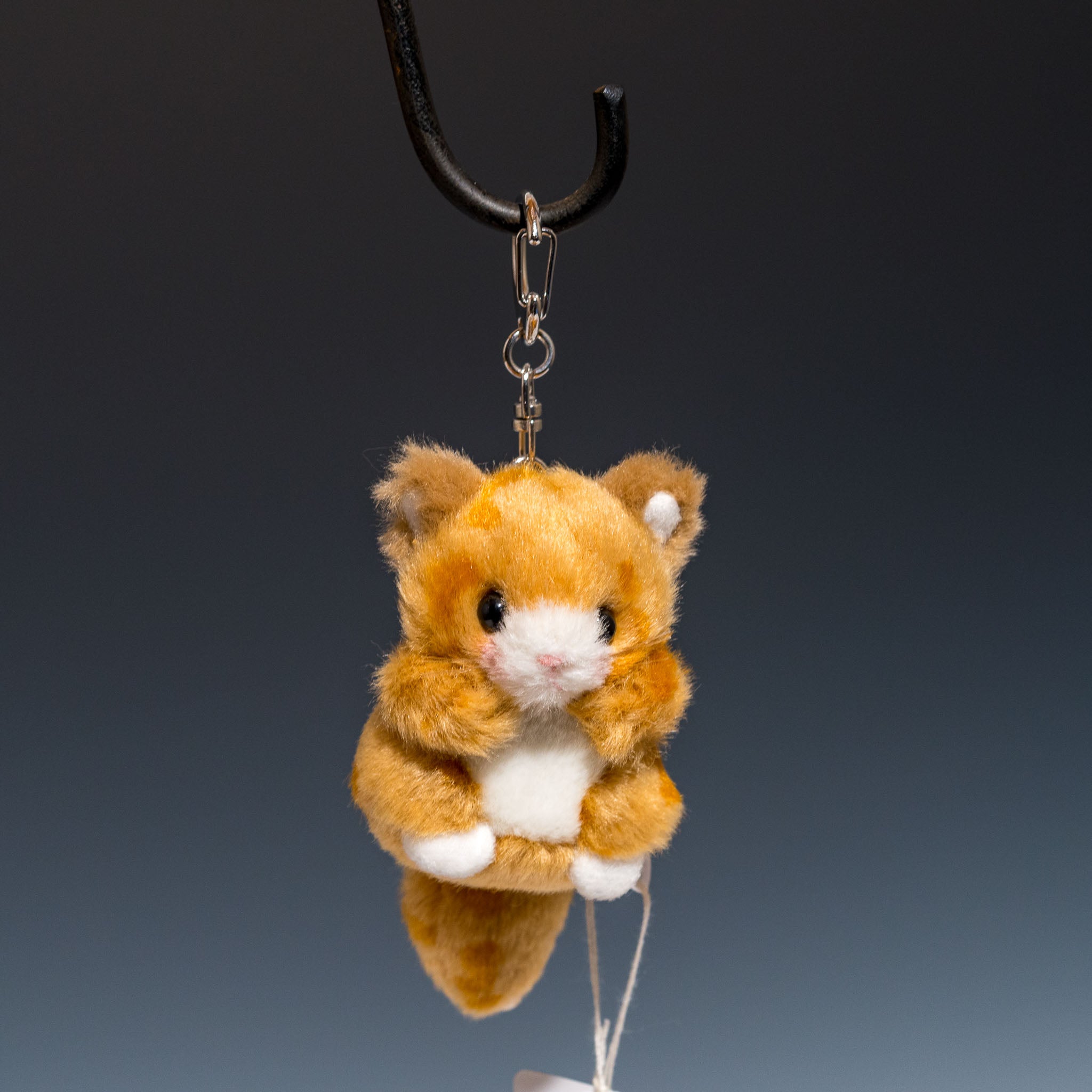 たけのこ TAKENOKO ぬいぐるみ ミニミニキッズ ネコ 茶 48541