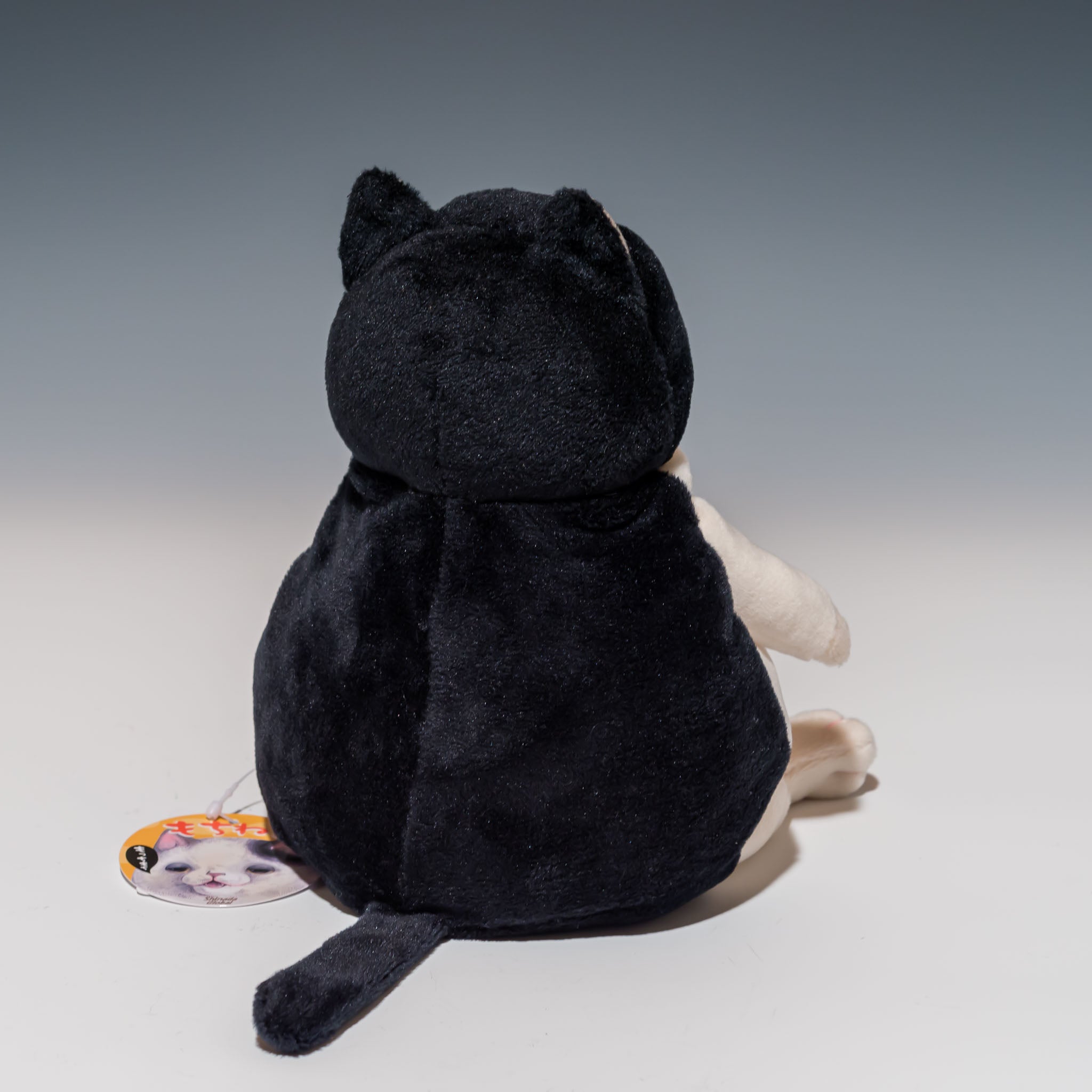 ハチワレ猫さま専用】AriaProⅡ PE-DLX ハチワレ猫さま専用】AriaProⅡ