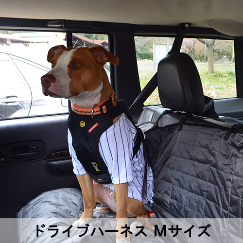 ドライブハーネス - EZYDOG
