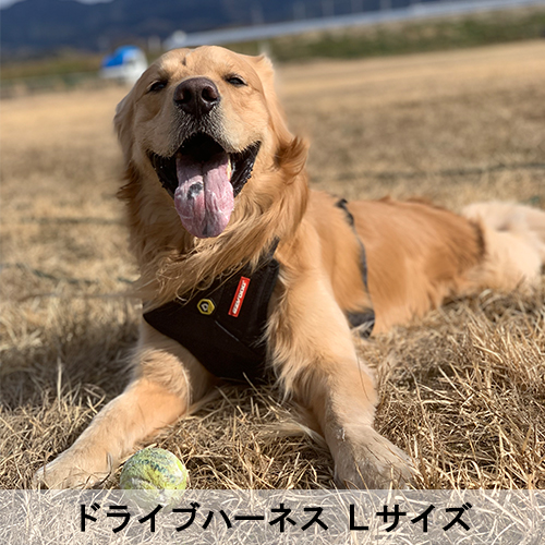 ドライブハーネス - EZYDOG
