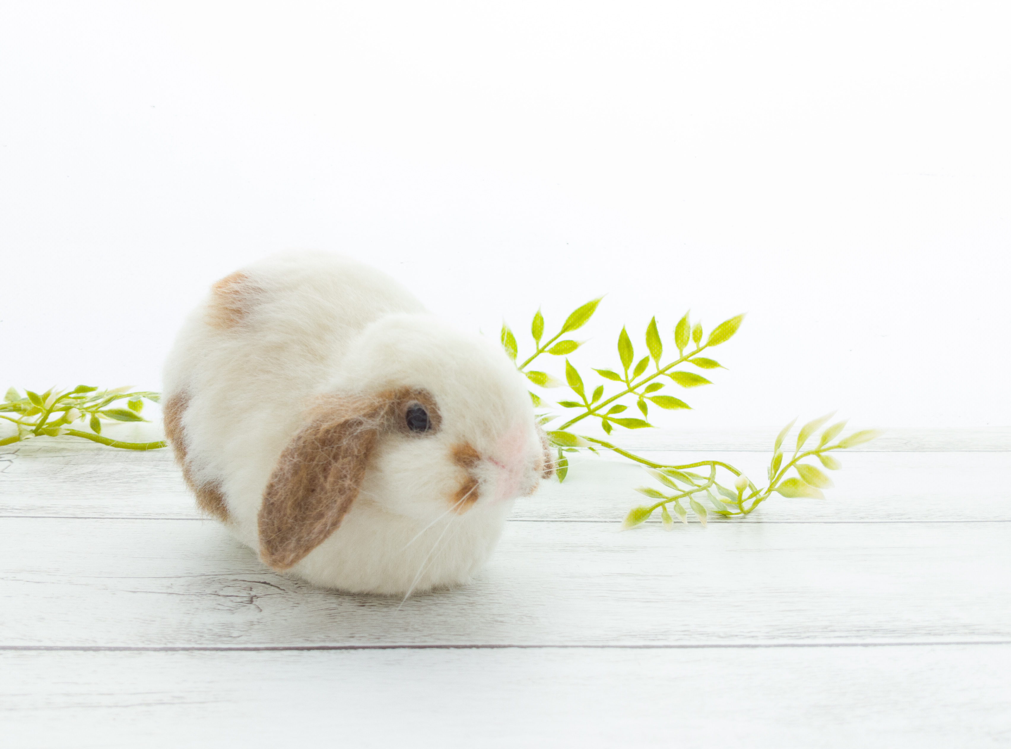 1回完結レッスン】リアルうさぎの作り方③（ロップイヤー） | FANTIST