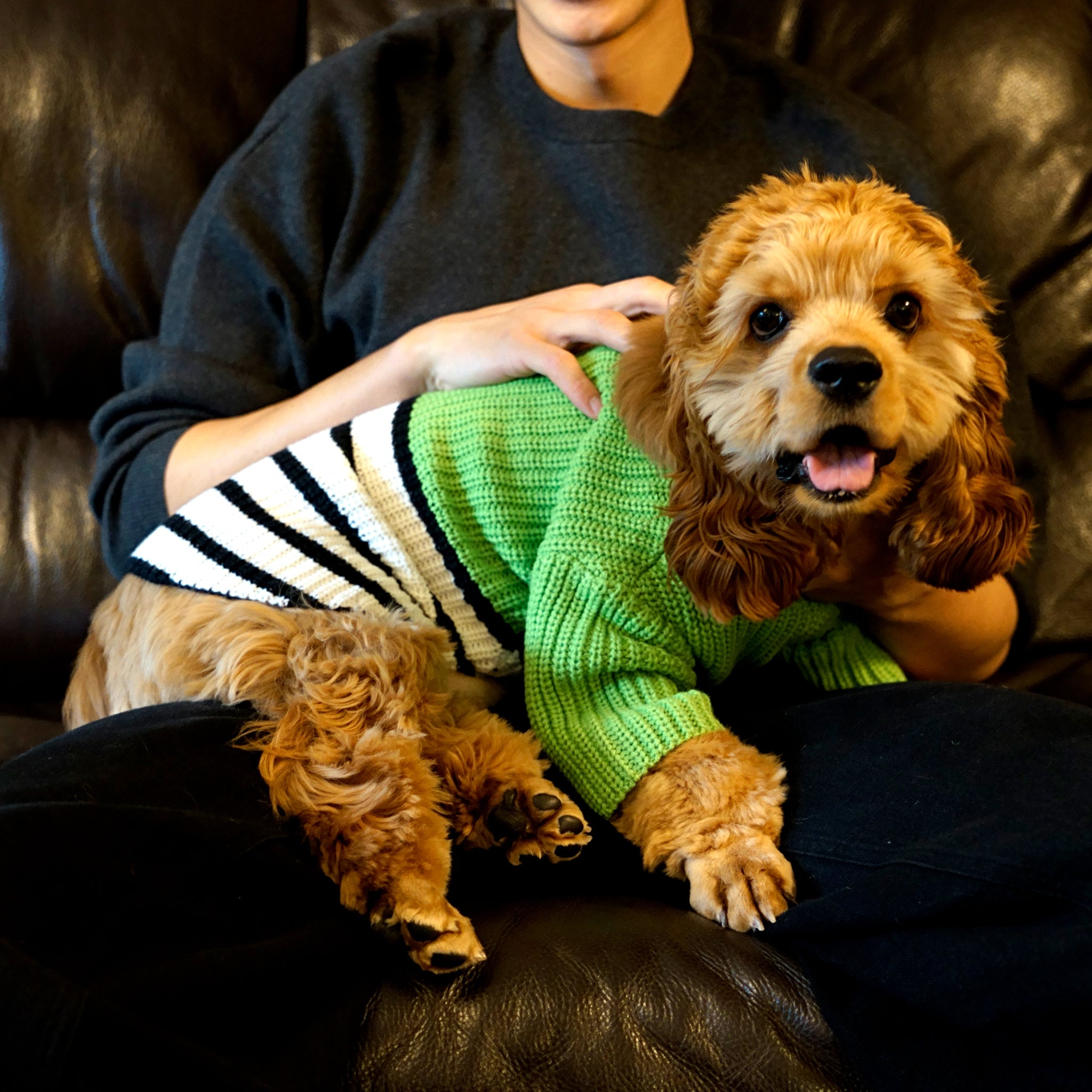 犬 クロシェニット【FABOGNI(ファボンニ)】Crochet Knit - green/犬服