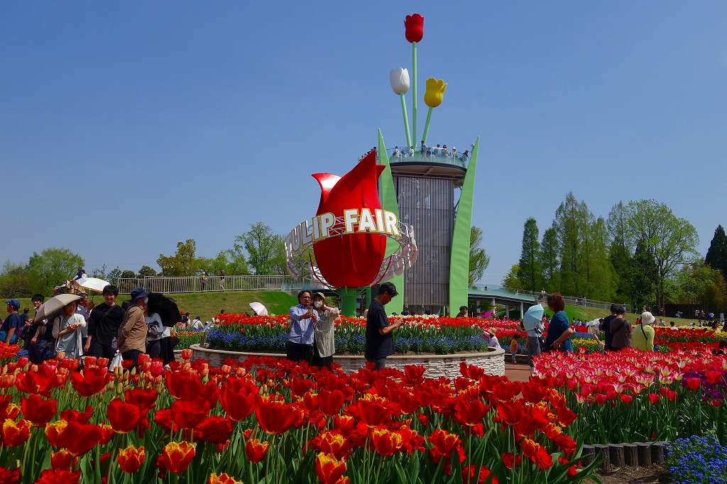 みどころ | 2026となみチューリップフェアとなみチューリップフェア
