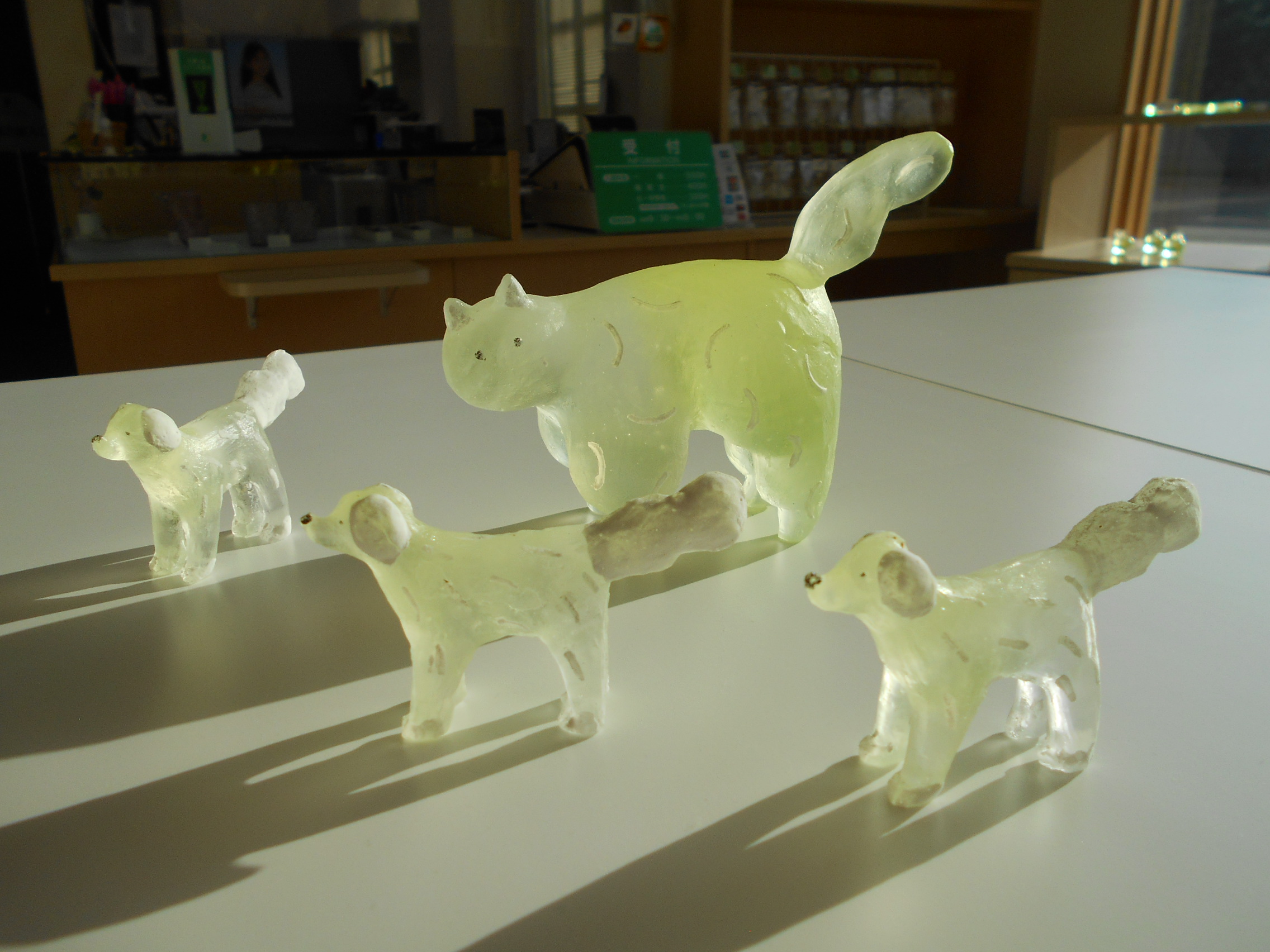 お知らせ - 妖精の森ガラス美術館