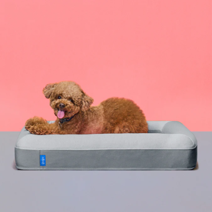 gugu 犬用ベッド グレー Sサイズ 小型犬向き グーグースリープ【公式