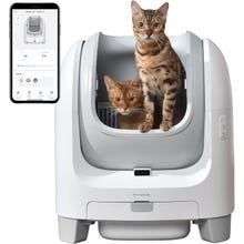 レンタル] 第2世代 Catlog Board2(キャトログボード2) ボード型IoT