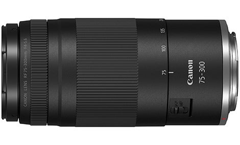 Canon EF 75-300mm F5.6 Ⅱ 定番望遠レンズ 即納OK Canon EF 75-300mm