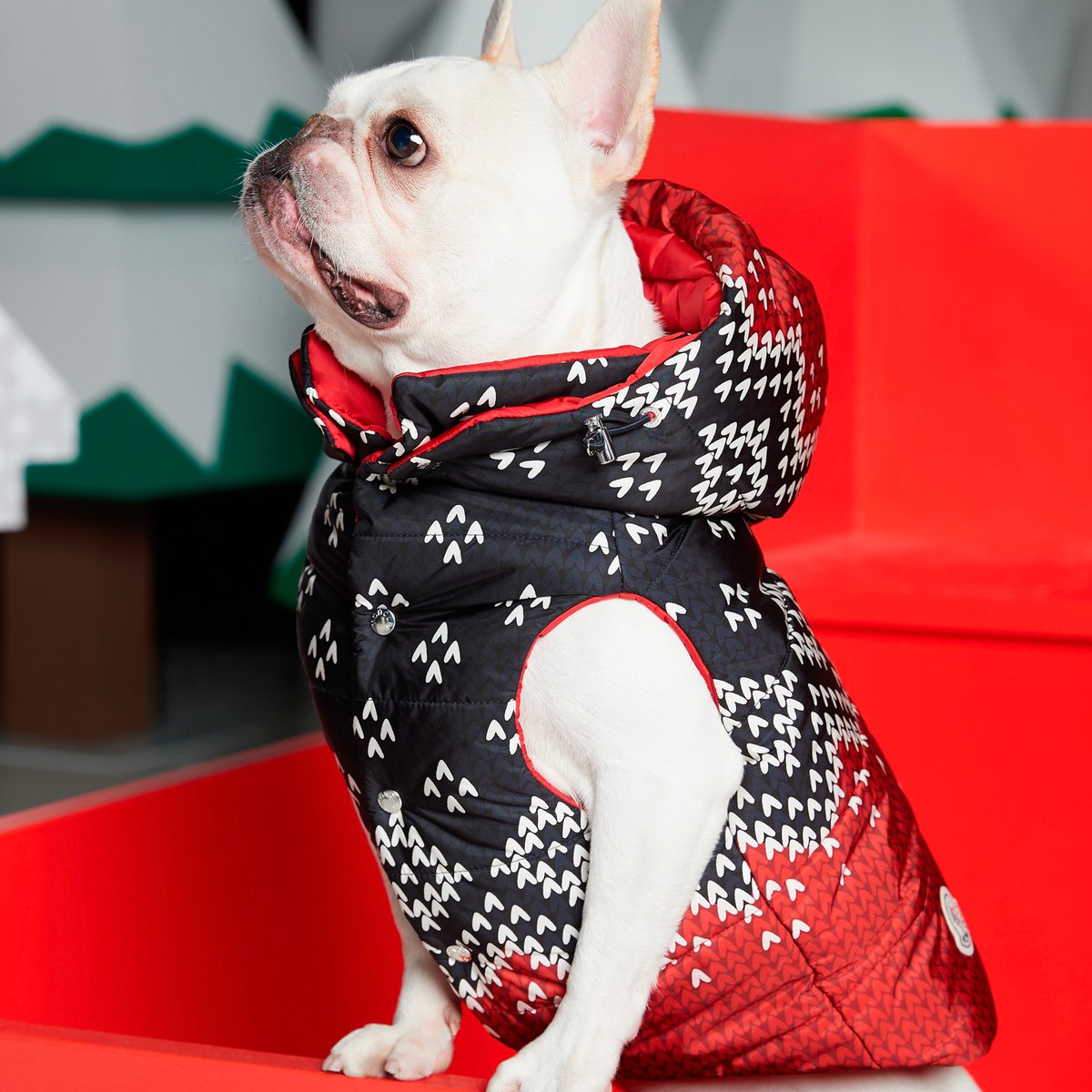 MONCLER 犬用 ダウンベスト