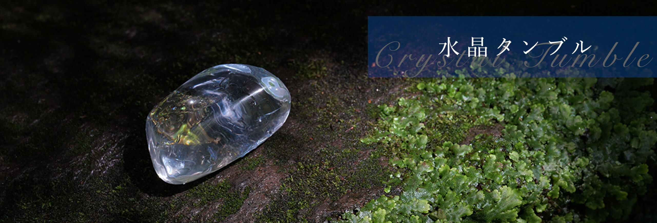 商品一覧】水晶・ガネッシュヒマール・モンドクォーツ・レムリアン