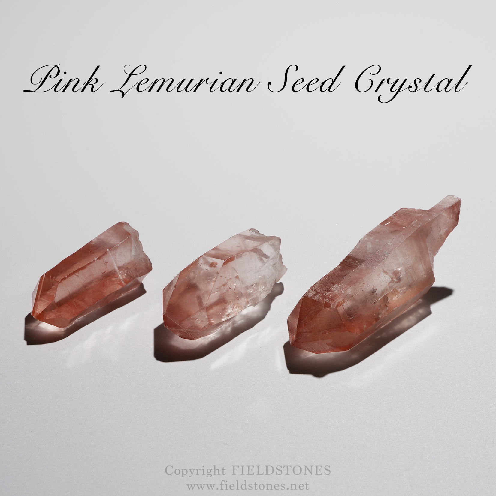 ピンク レムリアンシード より幸せに、より軽やかに生きる全ての人へ