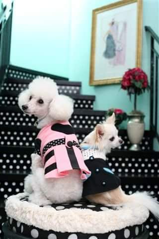 DD22F99F-B0B2-42AE-AB4D-