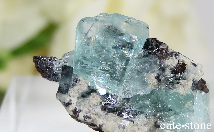 フォスフォフィライト 燐葉石 原石 鉱物 ボリビア産 フォスフォフィ