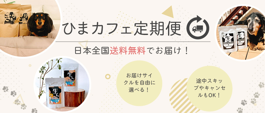 バディベルト ラブユニコーン（Love Unicorn）2024SS ｜わん子ん家ひま