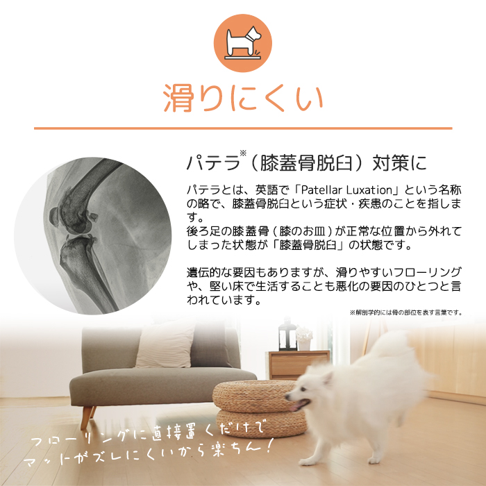 dfang ディパン ペットプレイマット【幅70cm 厚み5mm 折りたたみタイプ