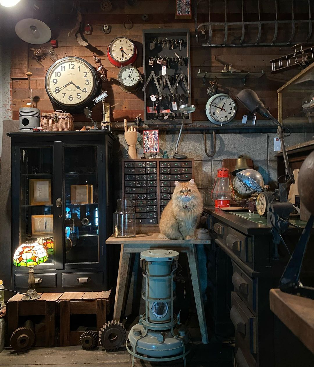 店舗紹介 - 古道具donguri