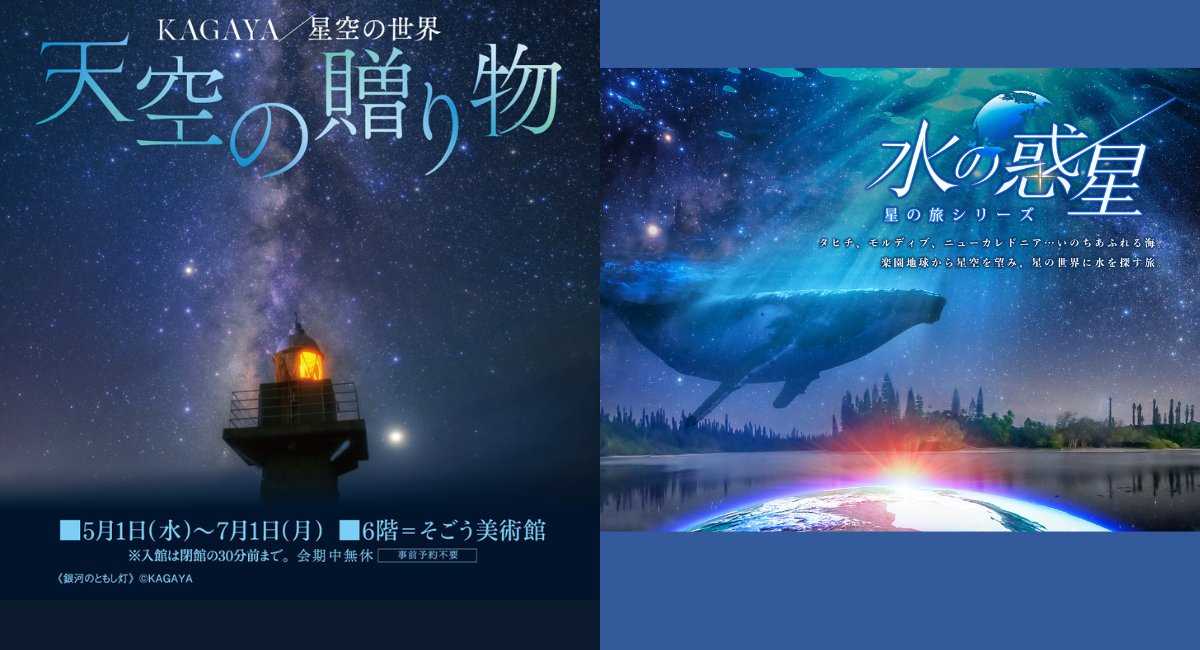 保証書付】KAGAYA ライブラ(天秤座) の絵画になります 天秤座ライブラ