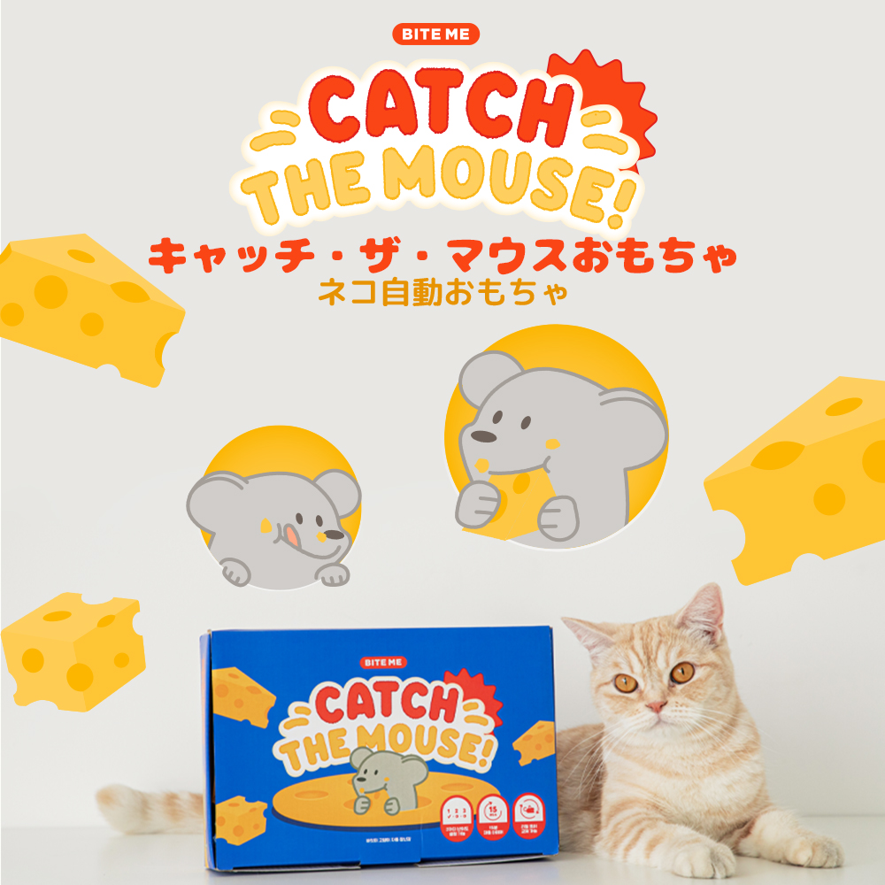バースデーケーキハットおもちゃ | ペット用の食品・用品・衣類
