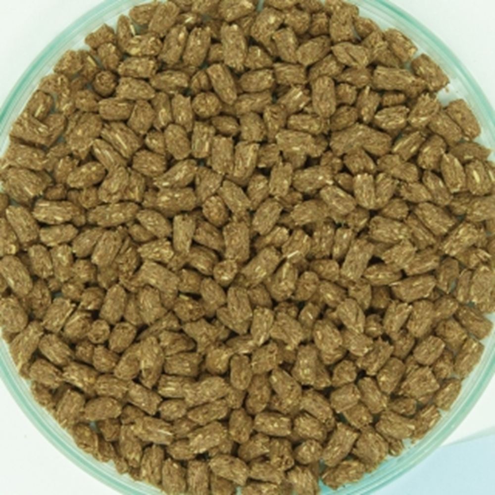 イースター モルモットセレクションプロ 600g（200g×3袋） | 【全国