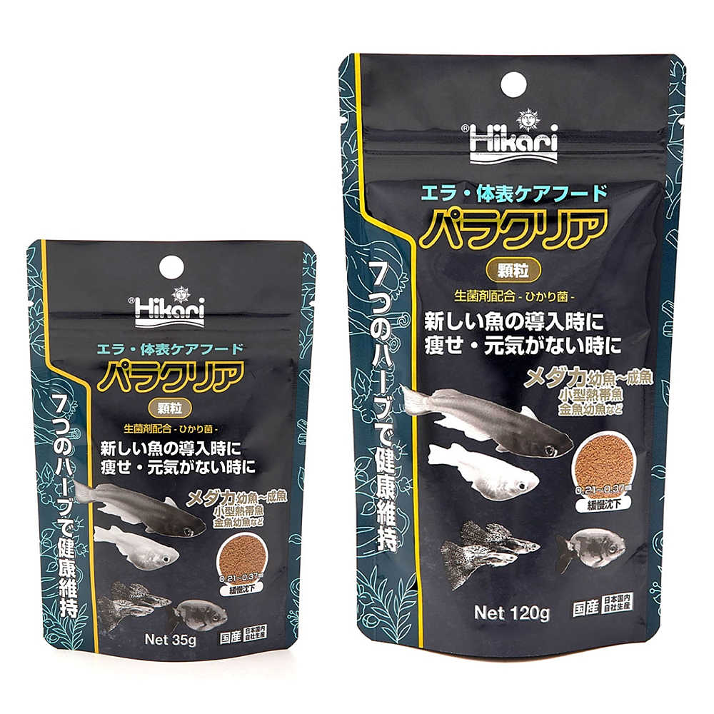 メダカ飼育容器(オーバーフロー仕様) 5個 【新仕様】メダカ飼育ケース