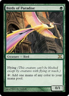 □黒枠□《極楽鳥/Birds of Paradise》[4EDBB] 緑R | 日本最大級 MTG
