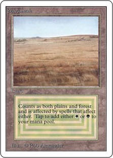 MTG 永劫の好奇心 foil 鈴木康士 アーティスト プルーフ サインド MTG