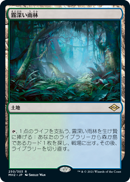 Foil】《霧深い雨林/Misty Rainforest》[EXP] 土地R | 日本最大級 MTG