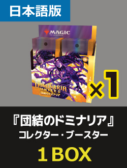 12パック)《団結のドミナリア コレクター・ブースターBOX》《○日本語
