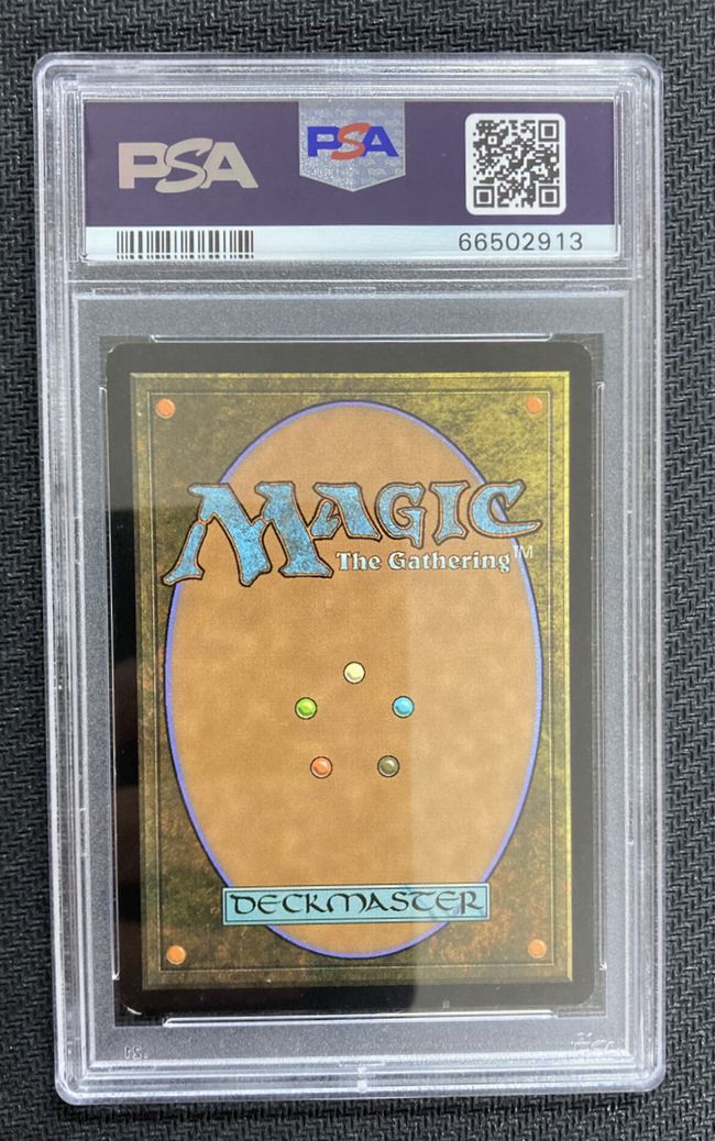 MTG 魔法の夜 foil 日本語版 Amazon.co.jp: MTG 魔法の夜/Enchanted