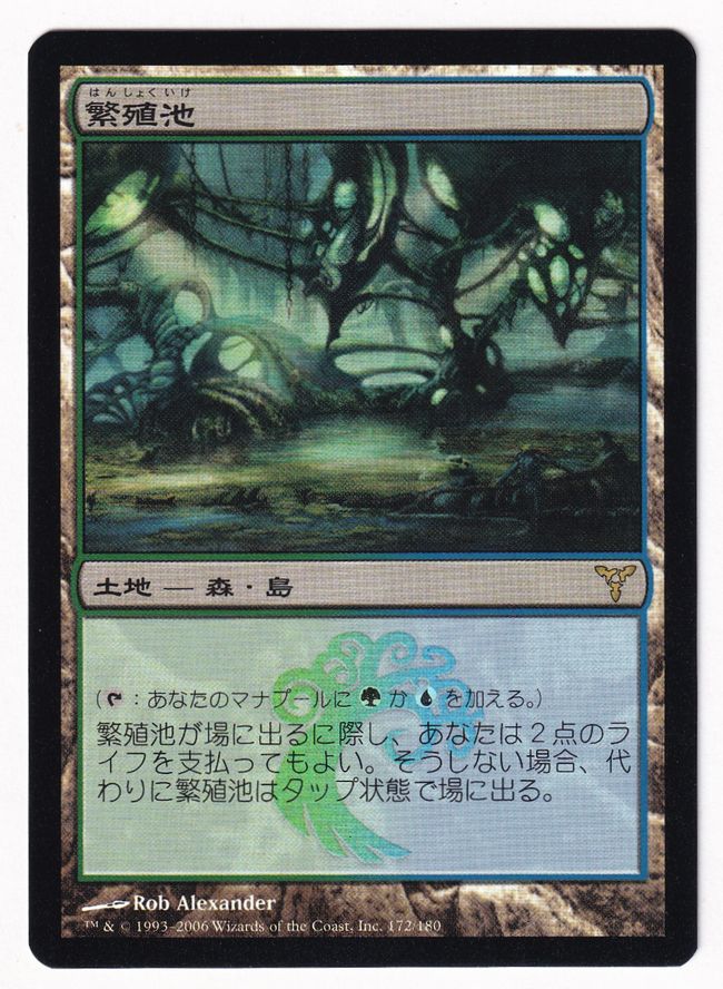 mtg 繁殖池 ディセンション 英語 初版 foil mtg 繁殖池 ディセンション