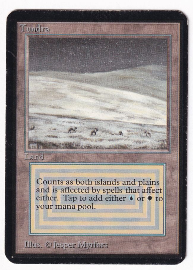 MTG Taiga① 英語 リバイズド 送料無料 MTG Tundra 英語 リバイズド