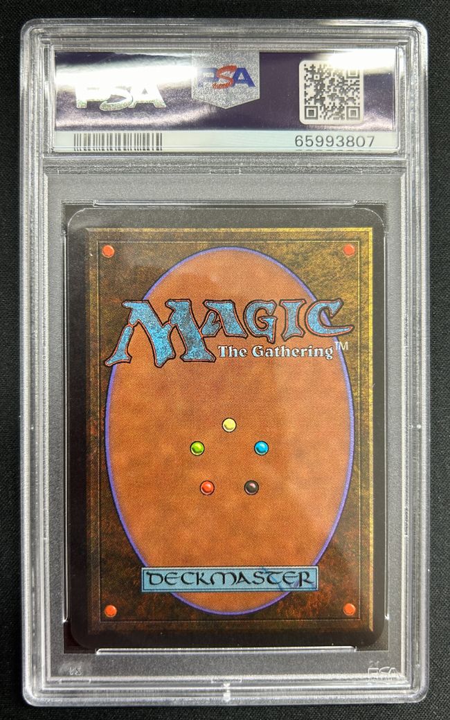 A)《島/Island》[LEA] 土地 | 日本最大級 MTG通販サイト「晴れる屋」