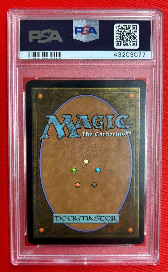 Foil】《霧深い雨林/Misty Rainforest》[ZEN] 土地R | 日本最大級 MTG