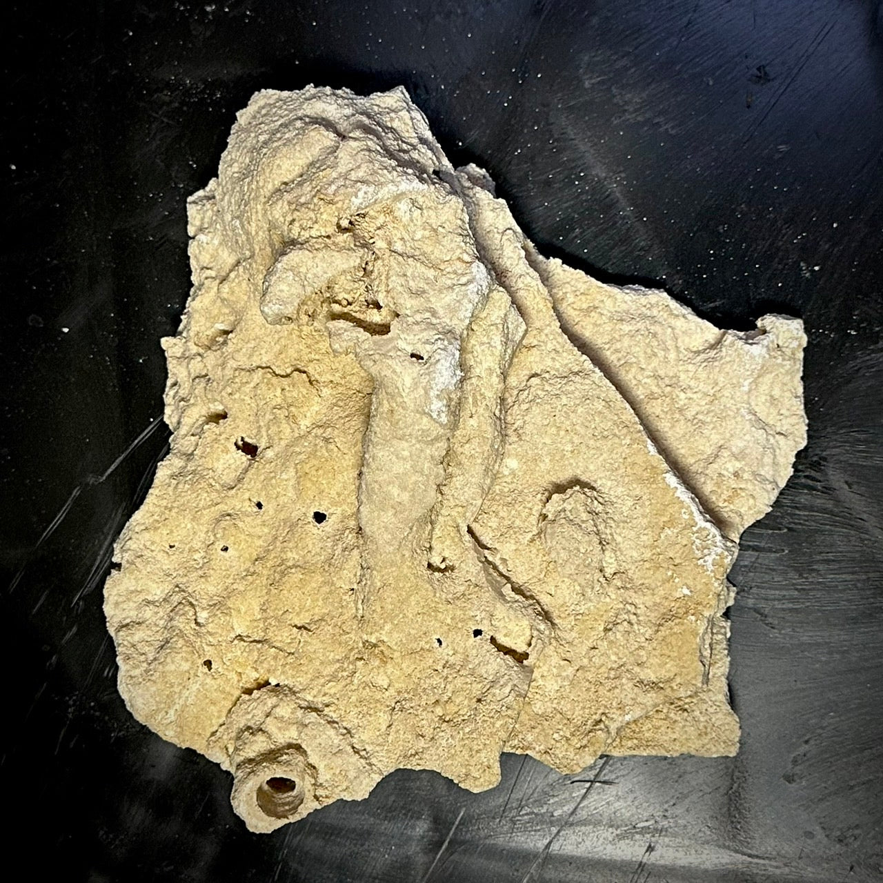 飼育用品・機材 - マルコロック・ライブロック – FISH UP