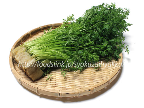人参の葉 ¥680