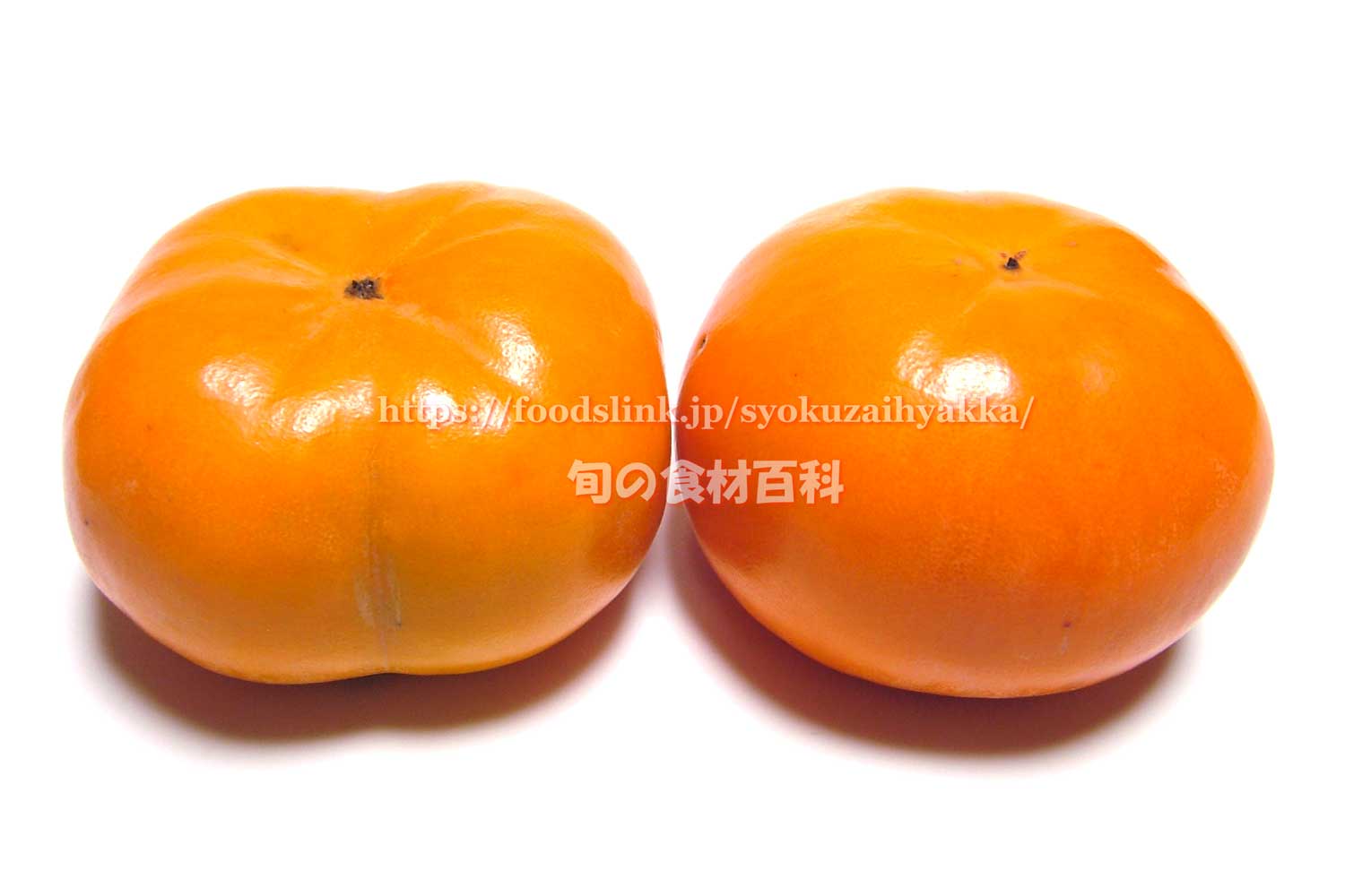 カトラン〔柿のある静物〕額外面 62㎝×81㎝