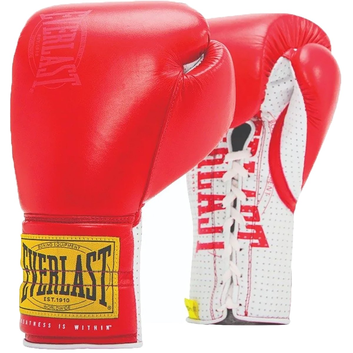 Everlast Sparring Boxing Gloves | 1910 Pro Lace-Up – Forza Sports