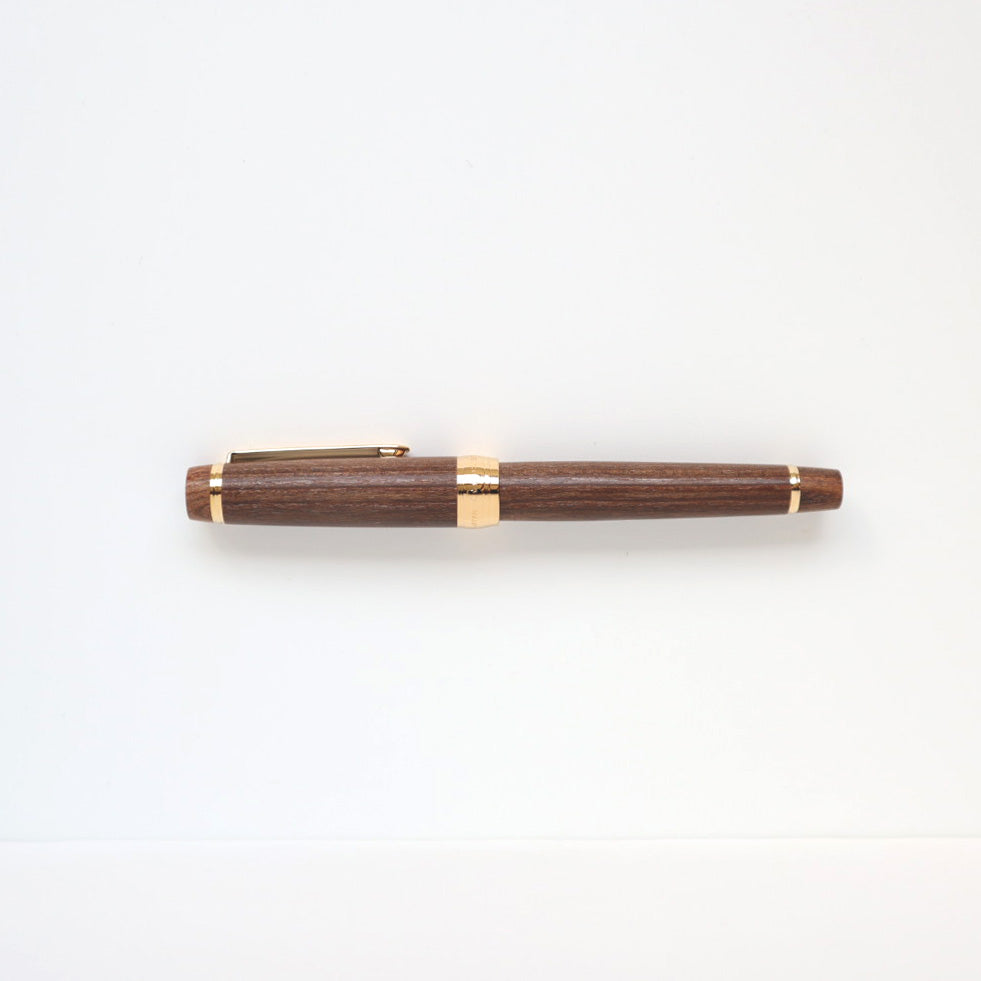 パイロットコーポレーション 万年筆 カスタム槐(エンジュ) 細字/中字