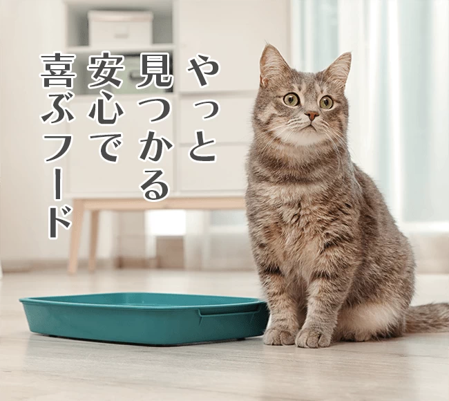 フリーズドライのささみ | FOUR-FOODS(フォーフーズ)