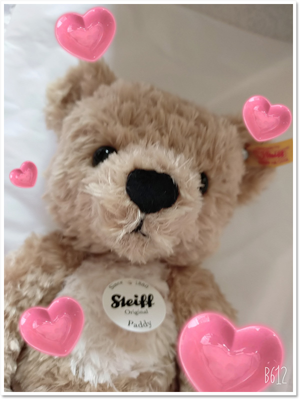 シュタイフ テディベア ジャッキーローズ シュタイフテディベア