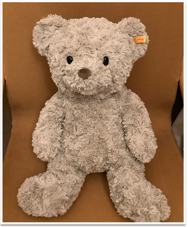 シュタイフ 日本限定 日本の名花シリーズ テディベア なでしこ 28cm