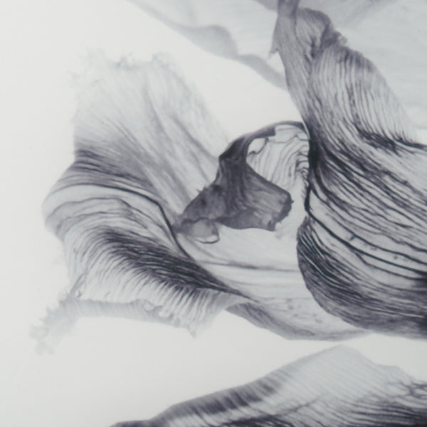 Francfranc アクリルアート アクリルアート フローティング