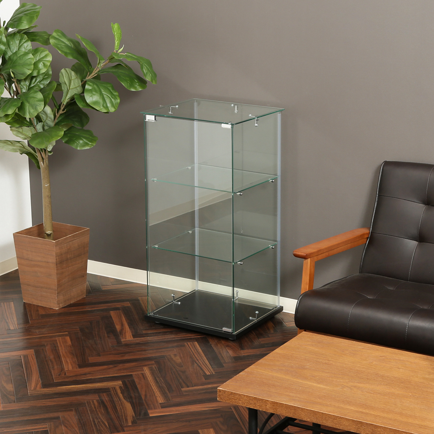 C/D:99475] ガラスコレクションケース3段 クリア ｜ ORDERING SHOP