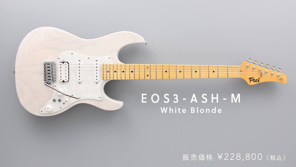 FGN J standard エレキギター 日本製 シングルコイル