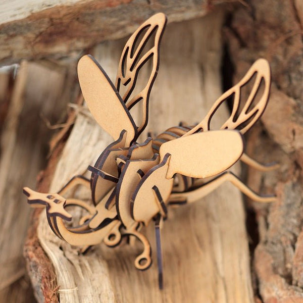 田村市】ムシキットセット（カブトムシ・クワガタ） クリックポスト